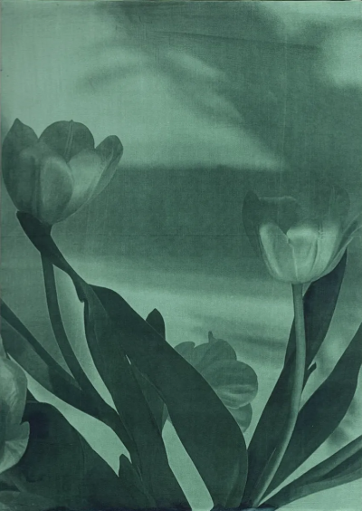 波比·琼斯是一位英国当代具象画家，以兼具写实基础与松动笔触的人物绘画而受到关注。她的创作立足于直接观察与写生传统，同时融入更为当代的绘画意识，使作品在结构准确与表现自由之间形成平衡。