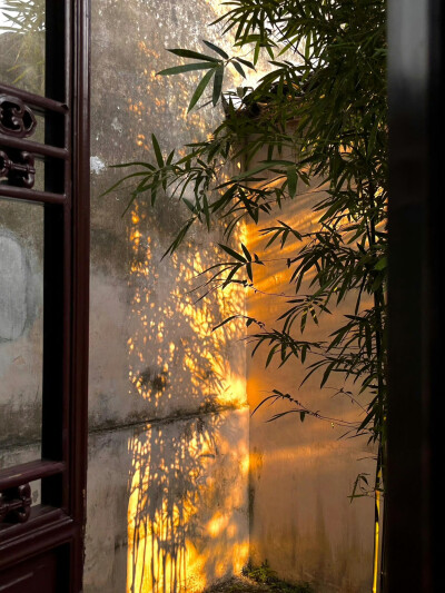 壁纸