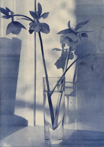 波比·琼斯是一位英国当代具象画家，以兼具写实基础与松动笔触的人物绘画而受到关注。她的创作立足于直接观察与写生传统，同时融入更为当代的绘画意识，使作品在结构准确与表现自由之间形成平衡。