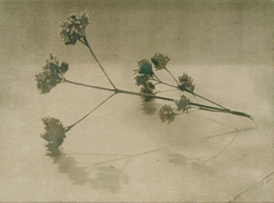 波比·琼斯是一位英国当代具象画家，以兼具写实基础与松动笔触的人物绘画而受到关注。她的创作立足于直接观察与写生传统，同时融入更为当代的绘画意识，使作品在结构准确与表现自由之间形成平衡。