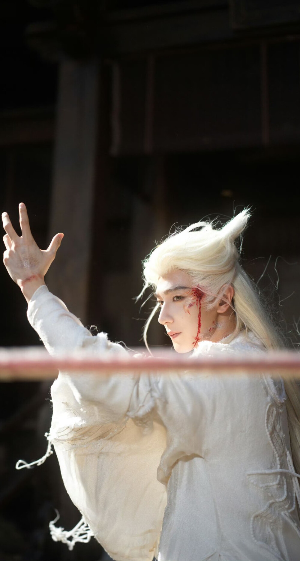 夏之光《月鳞绮纪》柳为雪