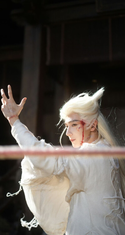 夏之光《月鳞绮纪》柳为雪