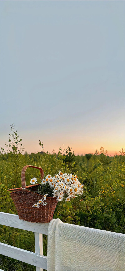 壁纸·图源微博