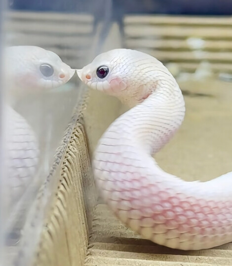 。