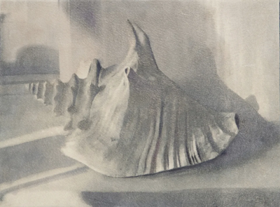 波比·琼斯是一位英国当代具象画家，以兼具写实基础与松动笔触的人物绘画而受到关注。她的创作立足于直接观察与写生传统，同时融入更为当代的绘画意识，使作品在结构准确与表现自由之间形成平衡。