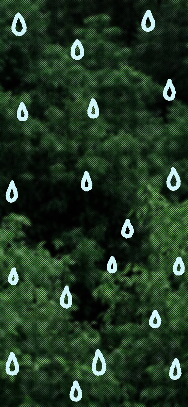 x壁纸