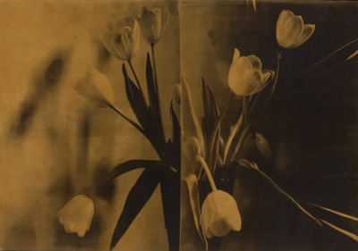 波比·琼斯是一位英国当代具象画家，以兼具写实基础与松动笔触的人物绘画而受到关注。她的创作立足于直接观察与写生传统，同时融入更为当代的绘画意识，使作品在结构准确与表现自由之间形成平衡。