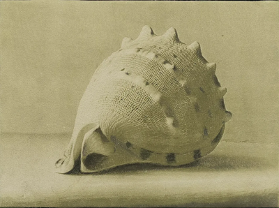 波比·琼斯是一位英国当代具象画家，以兼具写实基础与松动笔触的人物绘画而受到关注。她的创作立足于直接观察与写生传统，同时融入更为当代的绘画意识，使作品在结构准确与表现自由之间形成平衡。