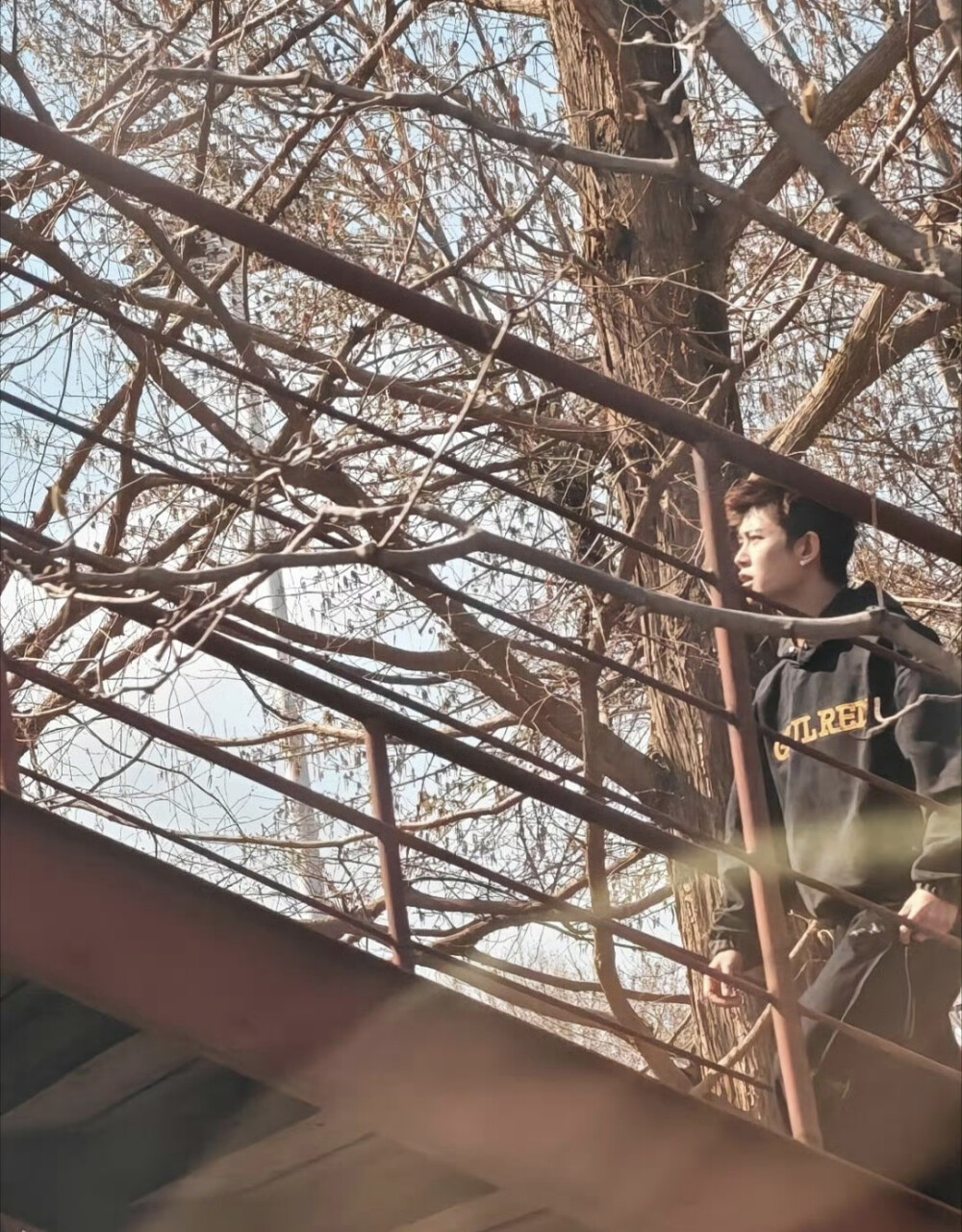 任嘉伦