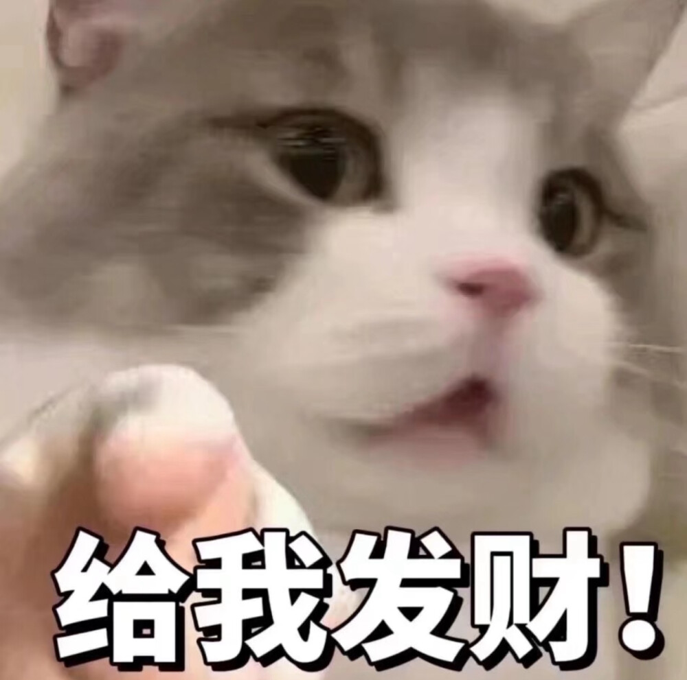 表情