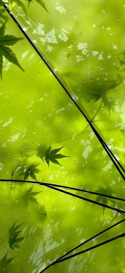 侵删