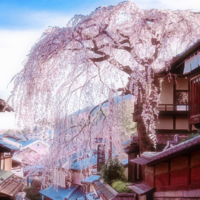 二改注明崔稚渝