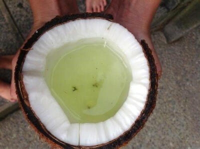 冰激凌和椰子水