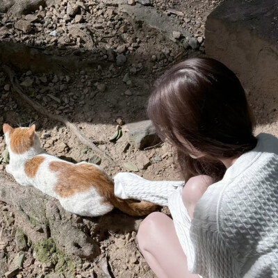 氛围女头