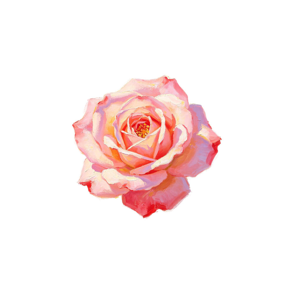 花朵白底头像