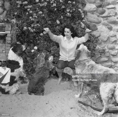 Elizabeth Taylor ​​​