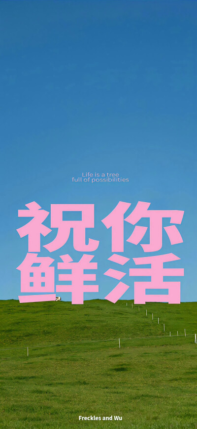 壁纸·图源微博