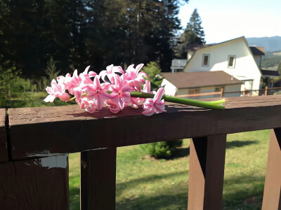 横屏壁纸·图源微博