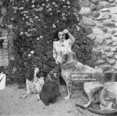 Elizabeth Taylor ​​​