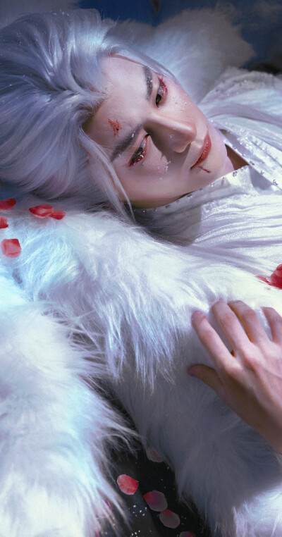 夏之光《月鳞绮纪》柳为雪