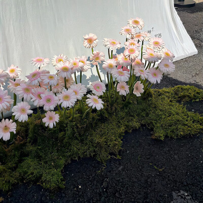 图源ks：偷喝汽水