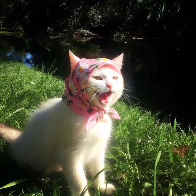 图源ks：偷喝汽水