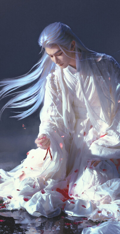 夏之光《月鳞绮纪》柳为雪