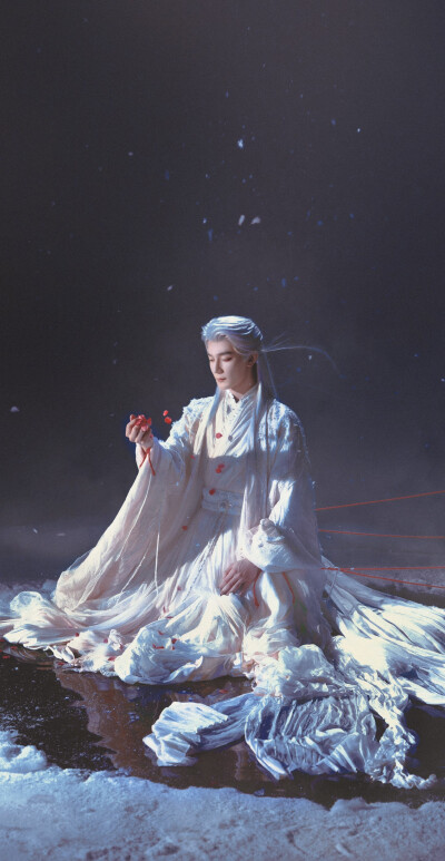 夏之光《月鳞绮纪》柳为雪