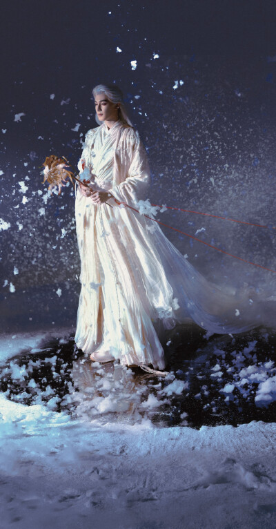 夏之光《月鳞绮纪》柳为雪