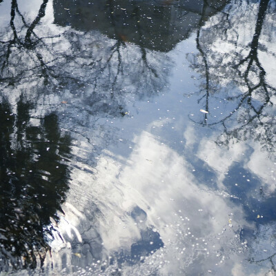 二改注明崔稚渝