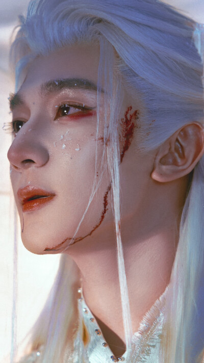 夏之光《月鳞绮纪》柳为雪