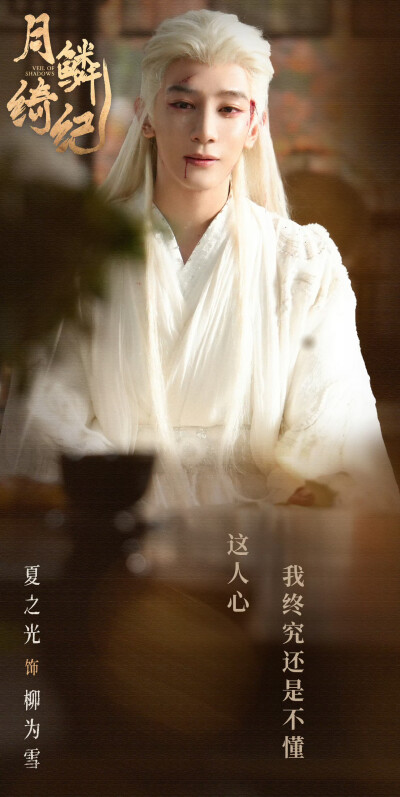 夏之光《月鳞绮纪》柳为雪