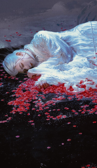 夏之光《月鳞绮纪》柳为雪