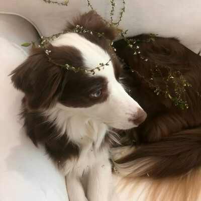 图源ks：偷喝汽水