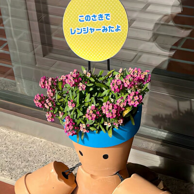 图源ks：偷喝汽水