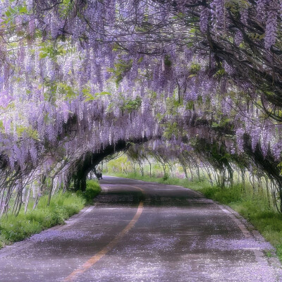 图源ks：偷喝汽水