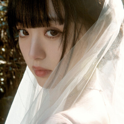 亲爱的梅格纳特小姐