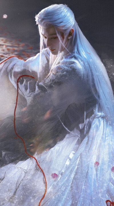 夏之光《月鳞绮纪》柳为雪