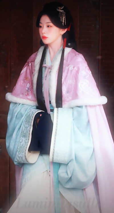 孔雪儿/将门独后/沈玥