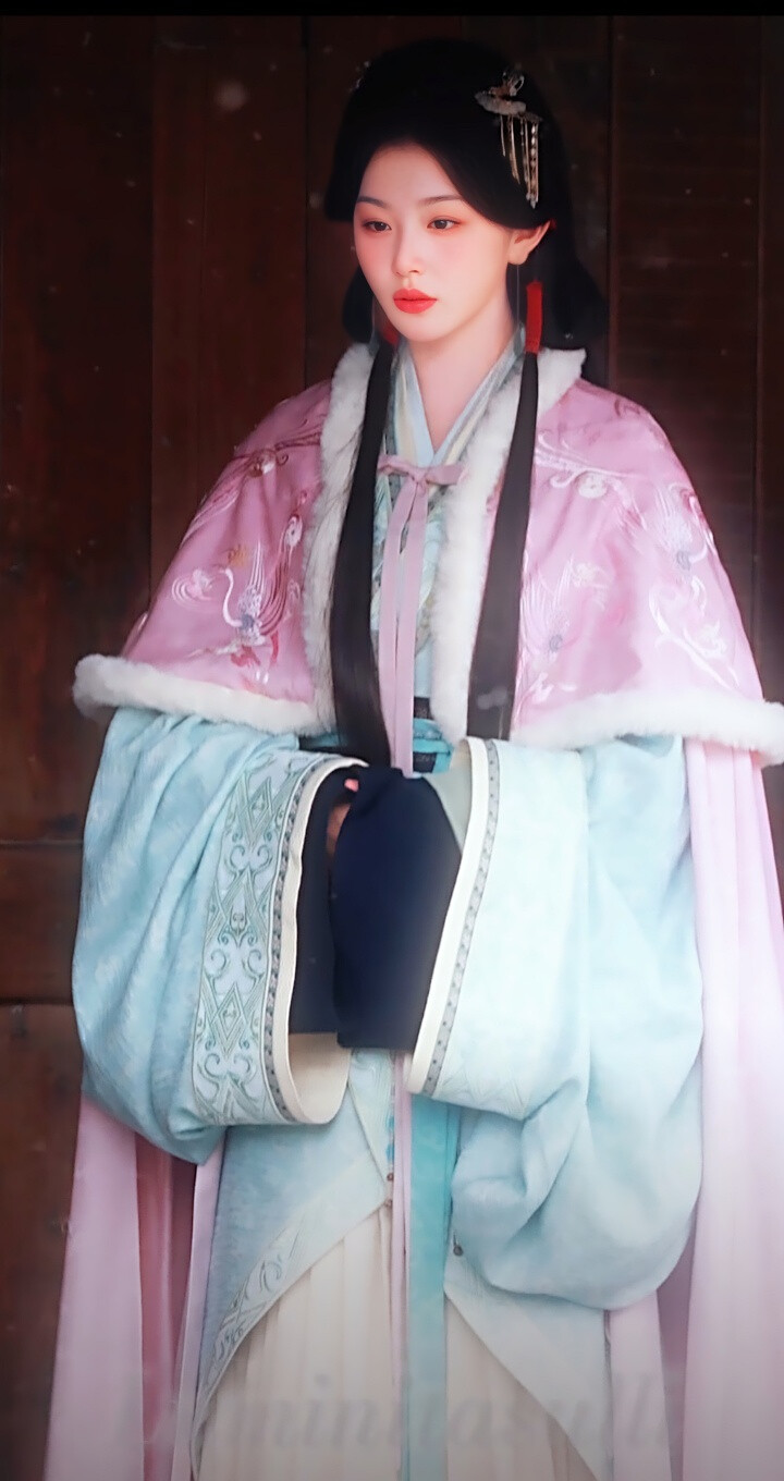 孔雪儿/将门独后/沈玥