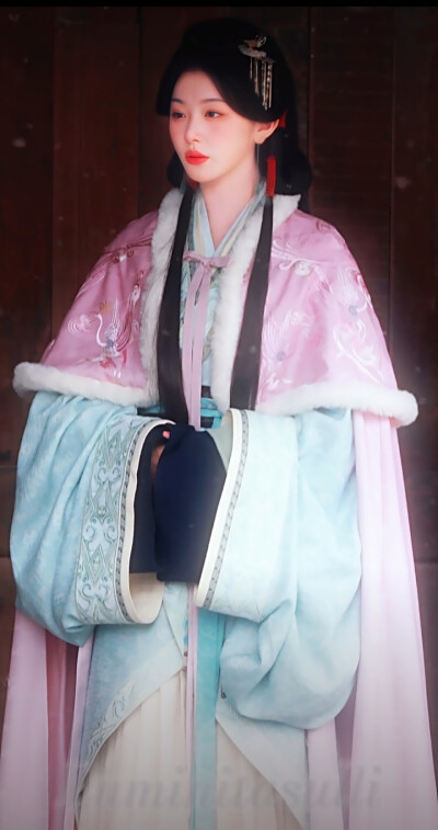 孔雪儿/将门独后/沈玥