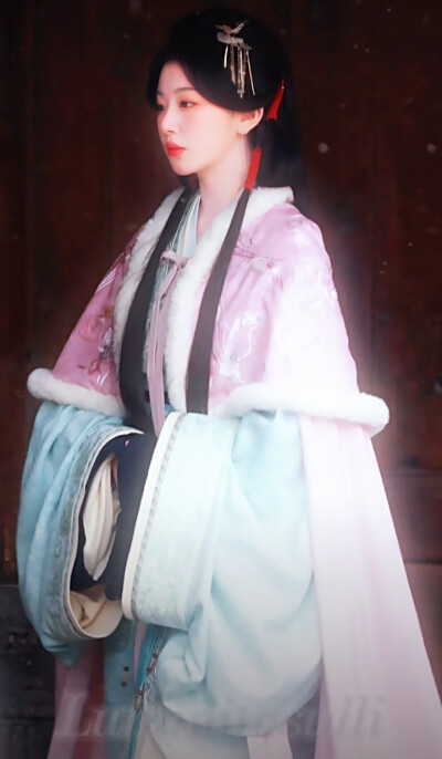 孔雪儿/将门独后/沈玥