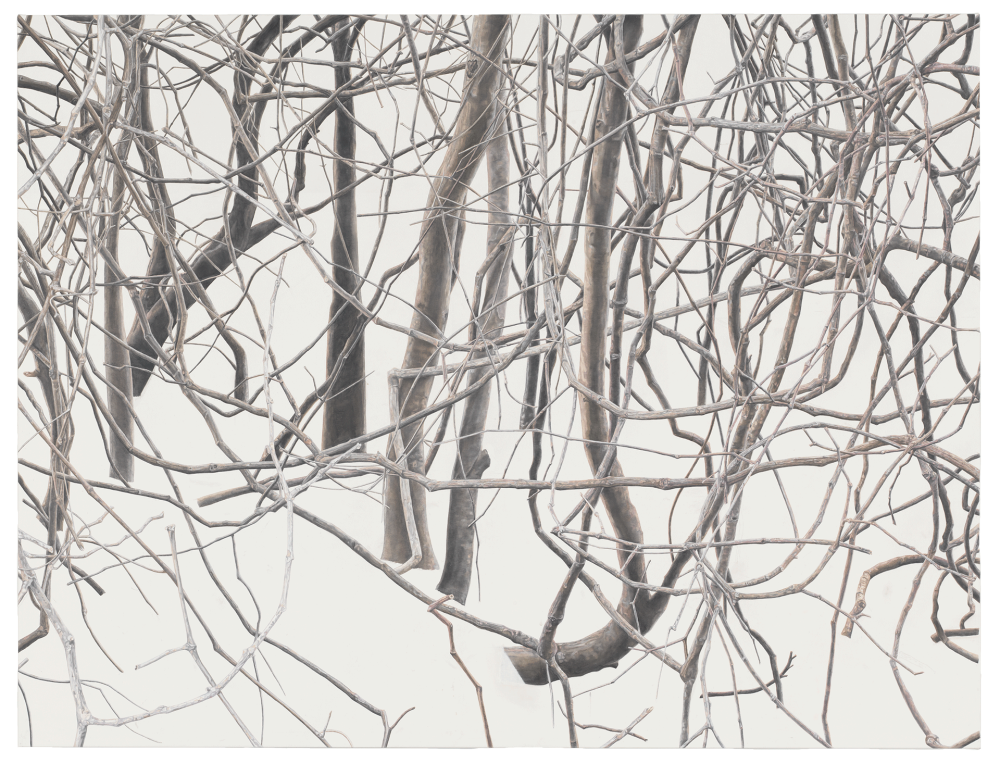 托巴·凯杜里（Toba Khedoori，1964年-至今）是一位来自澳大利亚的艺术家，她的作品被誉为超现实主义风格，以细致的笔触展现自然景观的细节。托巴·凯杜里是卓纳画廊最早加入的艺术家之一。
