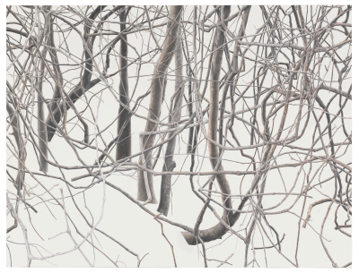 托巴·凯杜里（Toba Khedoori，1964年-至今）是一位来自澳大利亚的艺术家，她的作品被誉为超现实主义风格，以细致的笔触展现自然景观的细节。托巴·凯杜里是卓纳画廊最早加入的艺术家之一。
