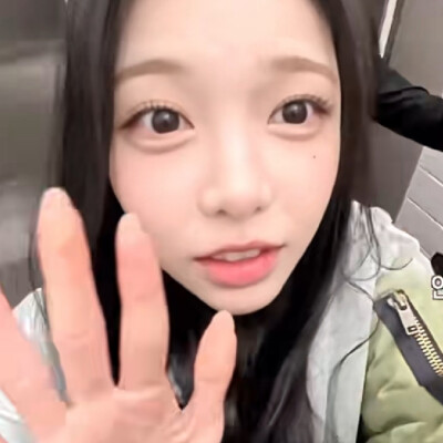 宠物镜头第二弹！