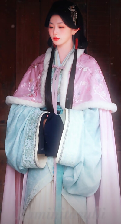 孔雪儿/将门独后/沈玥