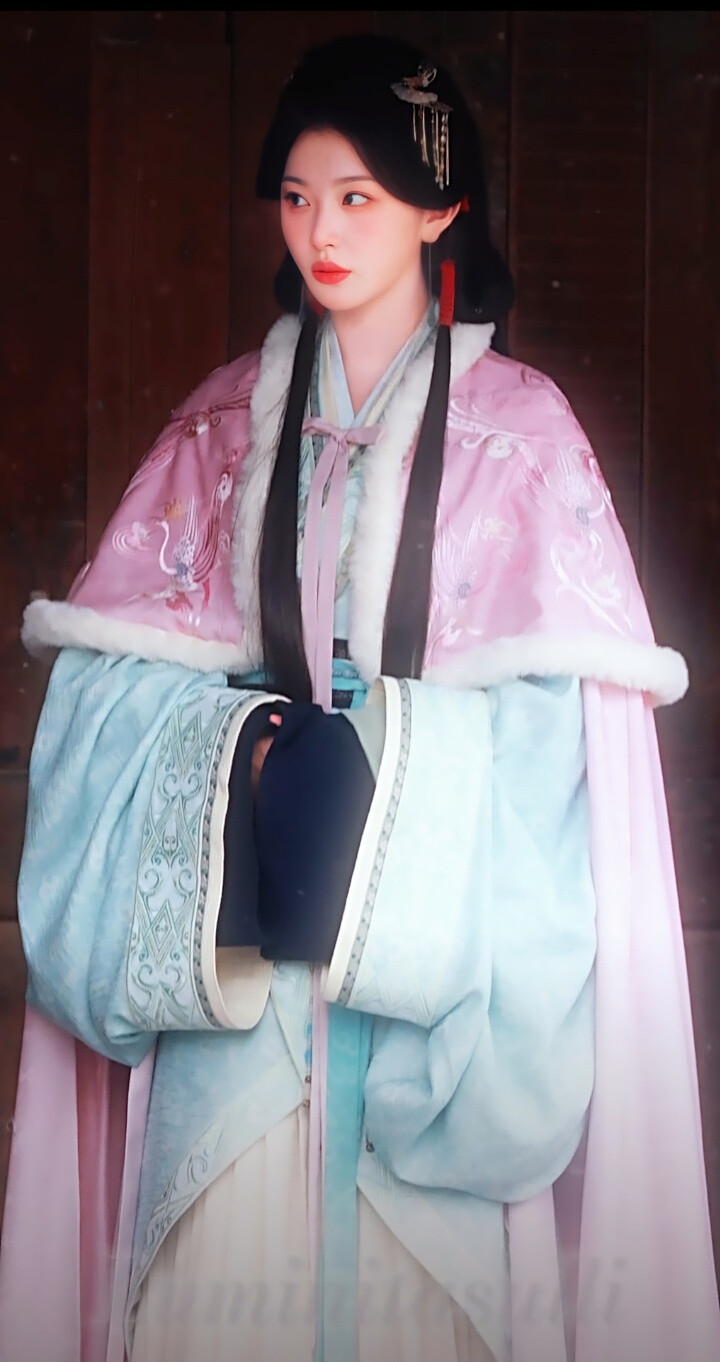 孔雪儿/将门独后/沈玥