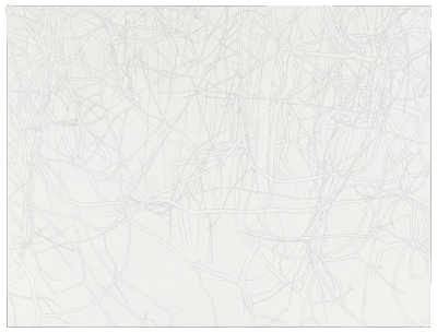 托巴·凯杜里（Toba Khedoori，1964年-至今）是一位来自澳大利亚的艺术家，她的作品被誉为超现实主义风格，以细致的笔触展现自然景观的细节。托巴·凯杜里是卓纳画廊最早加入的艺术家之一。
