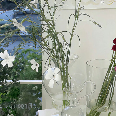 图源ks：偷喝汽水