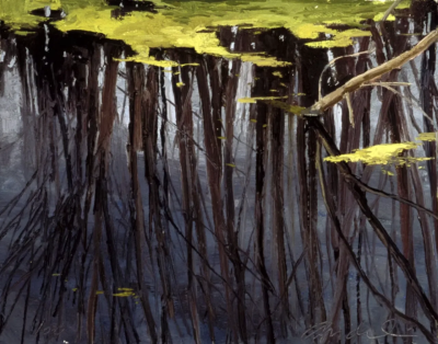 道格拉斯·安德林是一位美国风景画家，以强调自然光线与户外写生的绘画实践而受到关注。他的创作延续了美国印象主义与现实主义风景传统，注重在现场观察中捕捉瞬息变化的光与色。